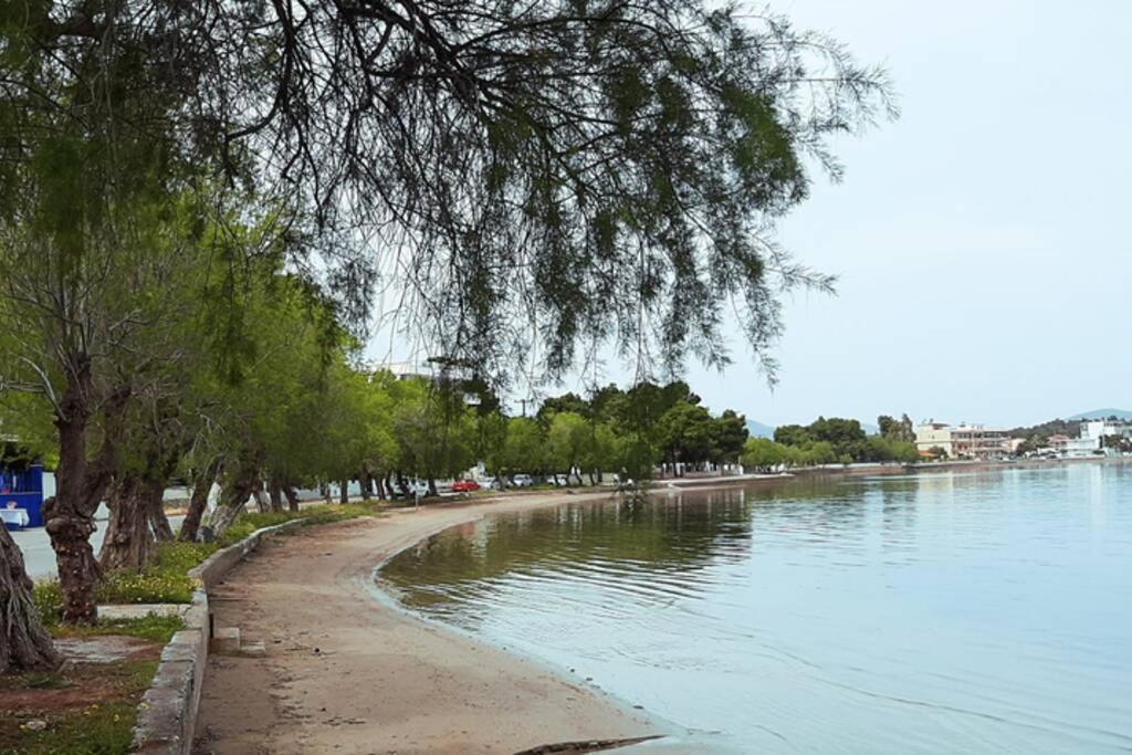 Πολυτελές Διαμέρισμα 3 Χαλκίδα-Παραλία Αυλίδος Paralia Avlidhos Buitenkant foto